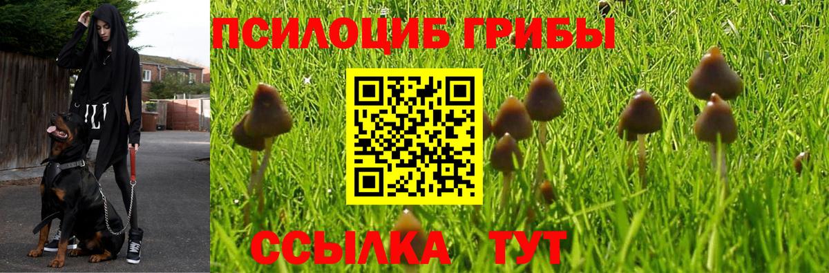 Галлюциногенные грибы Psilocybe  Вход с VPN  Псилоцибиновые грибы Magic Shrooms  Топки 