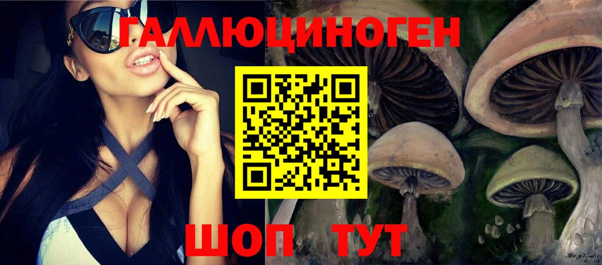 Псилоцибиновые грибы Psilocybine cubensis Топки